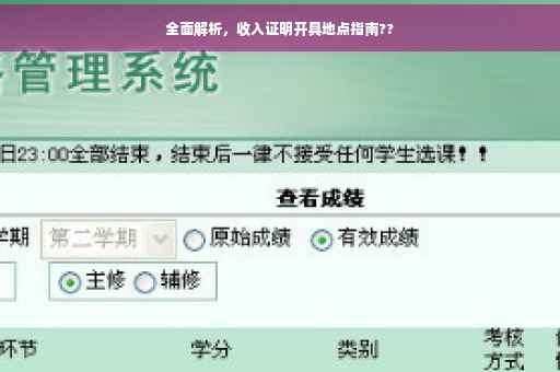 全面解析，收入证明开具地点指南??
