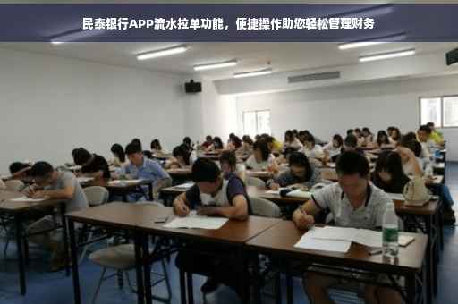 民泰银行APP流水拉单功能，便捷操作助您轻松管理财务