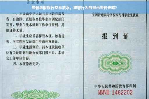 警惕虚假银行交易流水，犯罪行为的警示警钟长鸣?