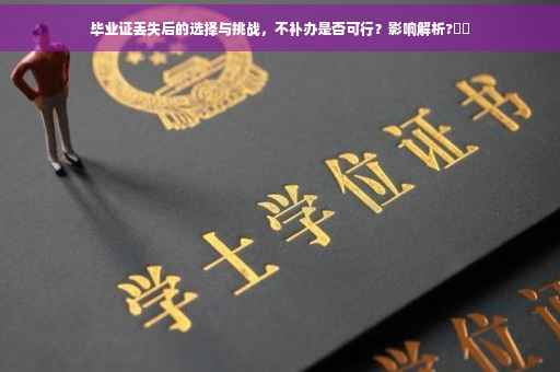 毕业证丢失后的选择与挑战，不补办是否可行？影响解析?⚡️