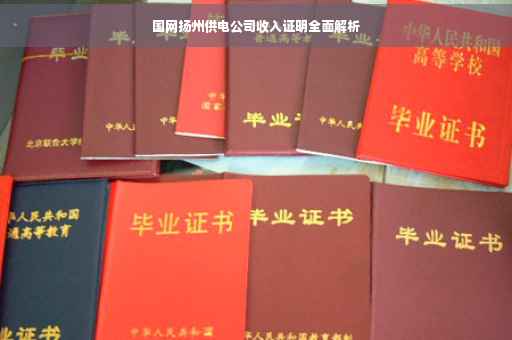 国网扬州供电公司收入证明全面解析