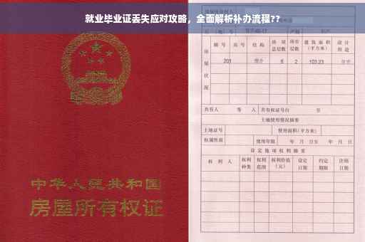 就业毕业证丢失应对攻略，全面解析补办流程??