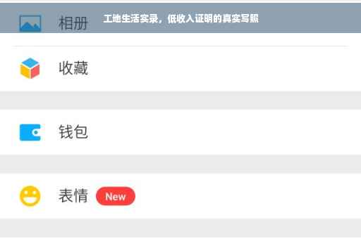 工地生活实录，低收入证明的真实写照