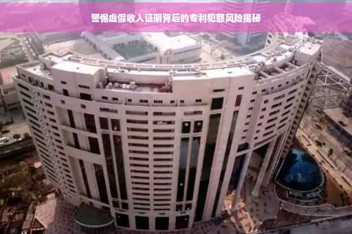 警惕虚假收入证明背后的专利犯罪风险揭秘