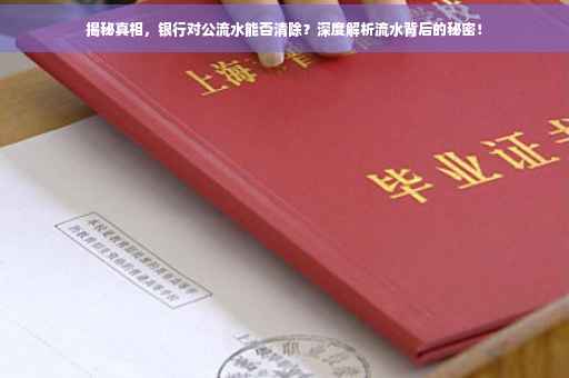 揭秘真相，银行对公流水能否清除？深度解析流水背后的秘密！
