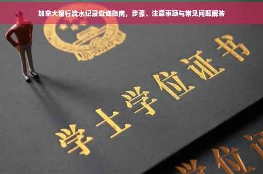 加拿大银行流水记录查询指南，步骤、注意事项与常见问题解答