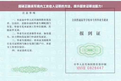 揭秘正确填写境内工资收入证明的方法，提升薪资证明说服力！