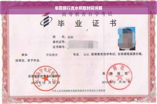 阜阳银行流水获取时间详解