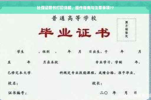 社保证明书打印详解，操作指南与注意事项??