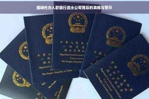 揭秘代办入职银行流水公司背后的真相与警示