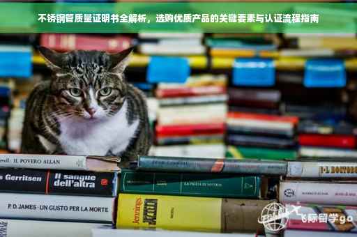 不锈钢管质量证明书全解析，选购优质产品的关键要素与认证流程指南
