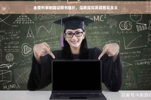 未受刑事制裁证明书图片，深度探究及其背后含义
