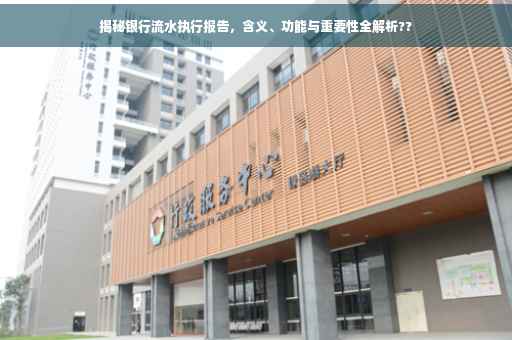 揭秘银行流水执行报告，含义、功能与重要性全解析??