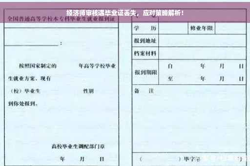 经济师审核遇毕业证丢失，应对策略解析！