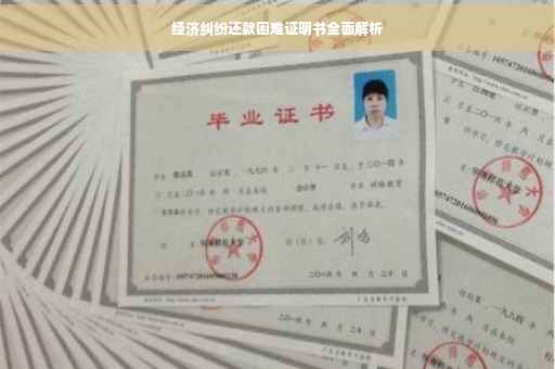 经济纠纷还款困难证明书全面解析