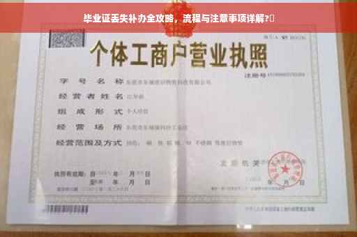 毕业证丢失补办全攻略，流程与注意事项详解?✨
