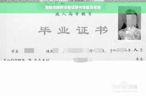 南阳市病例诊断证明书详解及指南