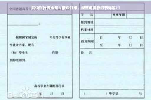 解读银行流水亲人能否打印，规定与操作细节详解?✨