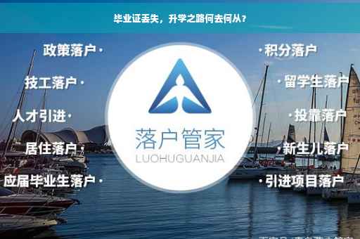 毕业证丢失，升学之路何去何从？