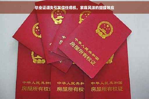 毕业证遗失引发信任危机，家庭风波的蝴蝶效应