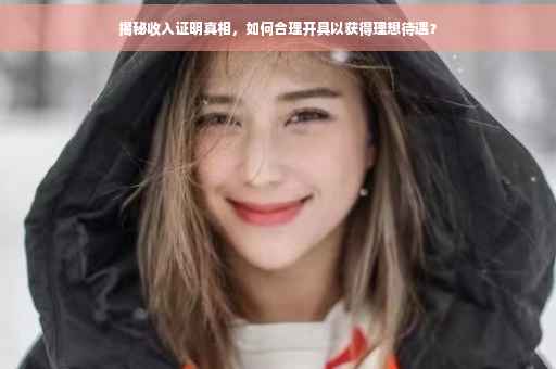 揭秘收入证明真相，如何合理开具以获得理想待遇？