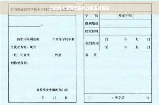 贷款收入证明盖章有效性深度解析