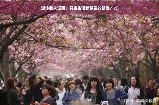 退休收入证明，开启生活新篇章的钥匙？?✨
