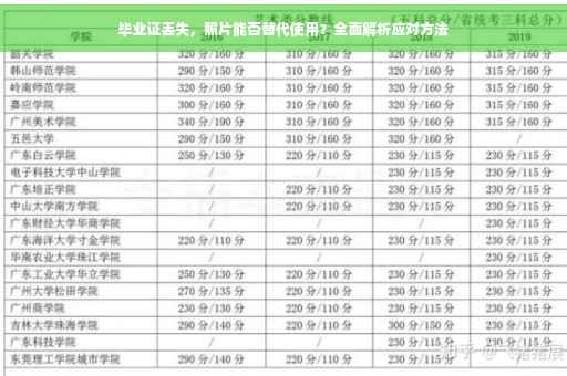 毕业证丢失，照片能否替代使用？全面解析应对方法