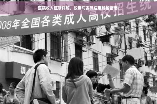 医院收入证明详解，效用与实际应用解析指南?