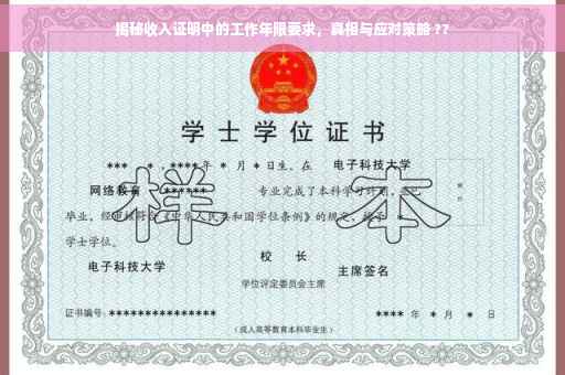 揭秘收入证明中的工作年限要求，真相与应对策略 ??