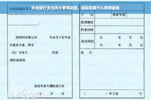 农业银行支出流水查询功能，轻松掌握个人财务动态