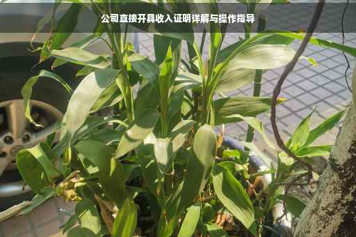 公司直接开具收入证明详解与操作指导