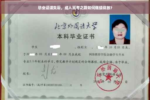 毕业证遗失后，成人高考之路如何继续绽放？