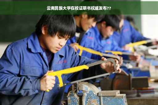 云南民族大学在校证明书权威发布??