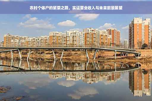 农村个体户的繁荣之路,实证营业收入与未来前景展望 农村个体户的繁荣之路,实证营业收入与未来前景展望