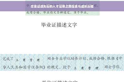 毕业证遗失后的人才证明之路探索与成长历程 毕业证遗失后的人才证明之路探索与成长历程
