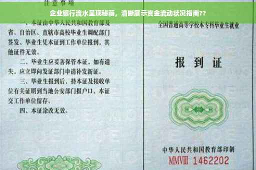 企业银行流水呈现秘籍，清晰展示资金流动状况指南??