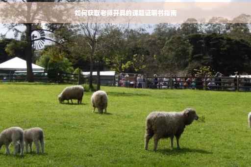 如何获取老师开具的课题证明书指南