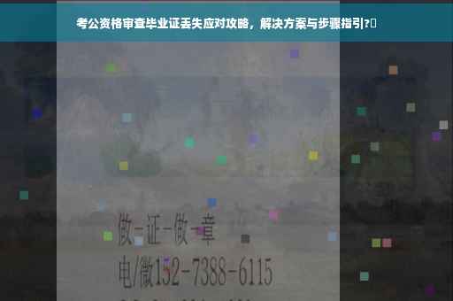 考公资格审查毕业证丢失应对攻略，解决方案与步骤指引?✨