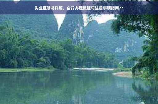 失业证明书详解，自行办理流程与注意事项指南??