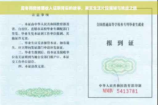 周冬雨微博晒收入证明背后的故事，真实生活片段揭秘与挑战之旅