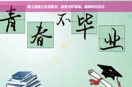 国土调查工作证明书，探索守护足迹，铸就时代印记