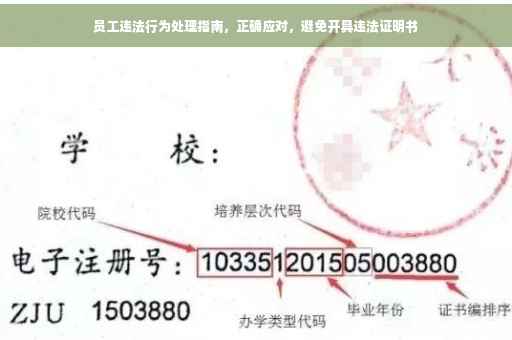 员工违法行为处理指南，正确应对，避免开具违法证明书