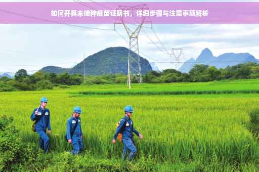如何开具未接种疫苗证明书，详细步骤与注意事项解析