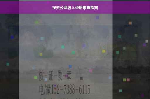 投资公司收入证明审查指南