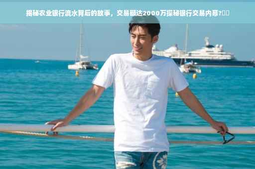 揭秘农业银行流水背后的故事，交易额达2000万探秘银行交易内幕?⚡️