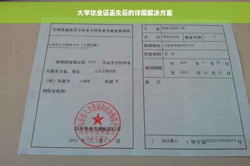 大学毕业证丢失后的详细解决方案