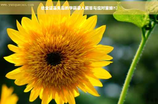 毕业证丢失后的学籍录入解答与应对策略?✨