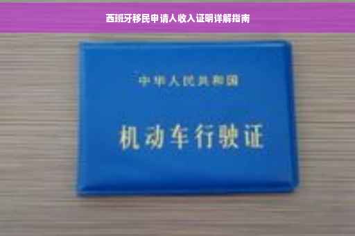 西班牙移民申请人收入证明详解指南