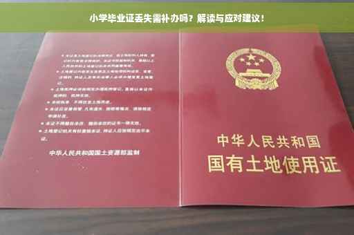 小学毕业证丢失需补办吗？解读与应对建议！